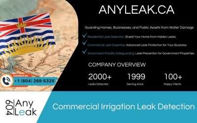 Commercial Irrigation Leak Detection