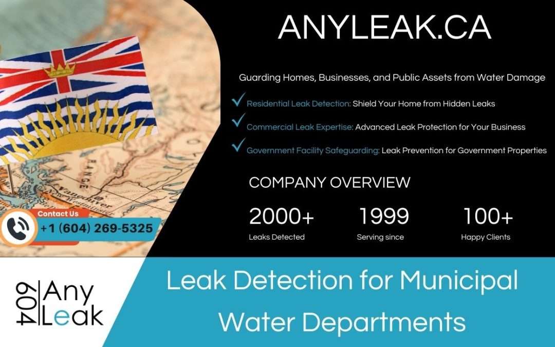 Leak Detection for Municipal Water Departments