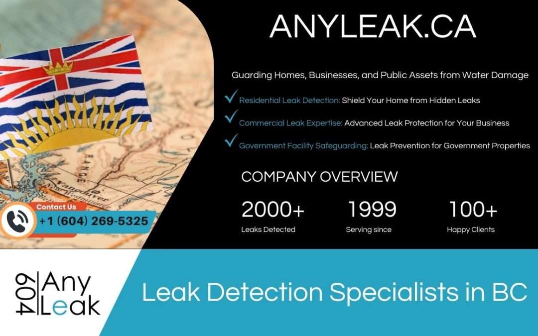 Leak Detection Specialists in BC