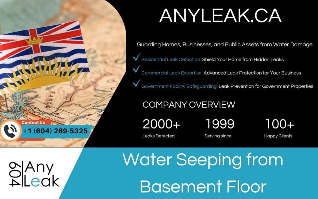 Water Seeping from Basement Floor