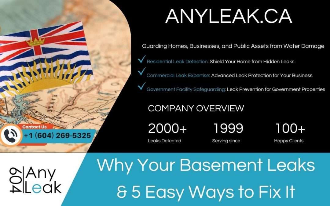 Why Your Basement Leaks & 5 Easy Ways to Fix It