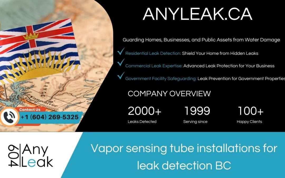 Vapor sensing tube installations for leak detection BC