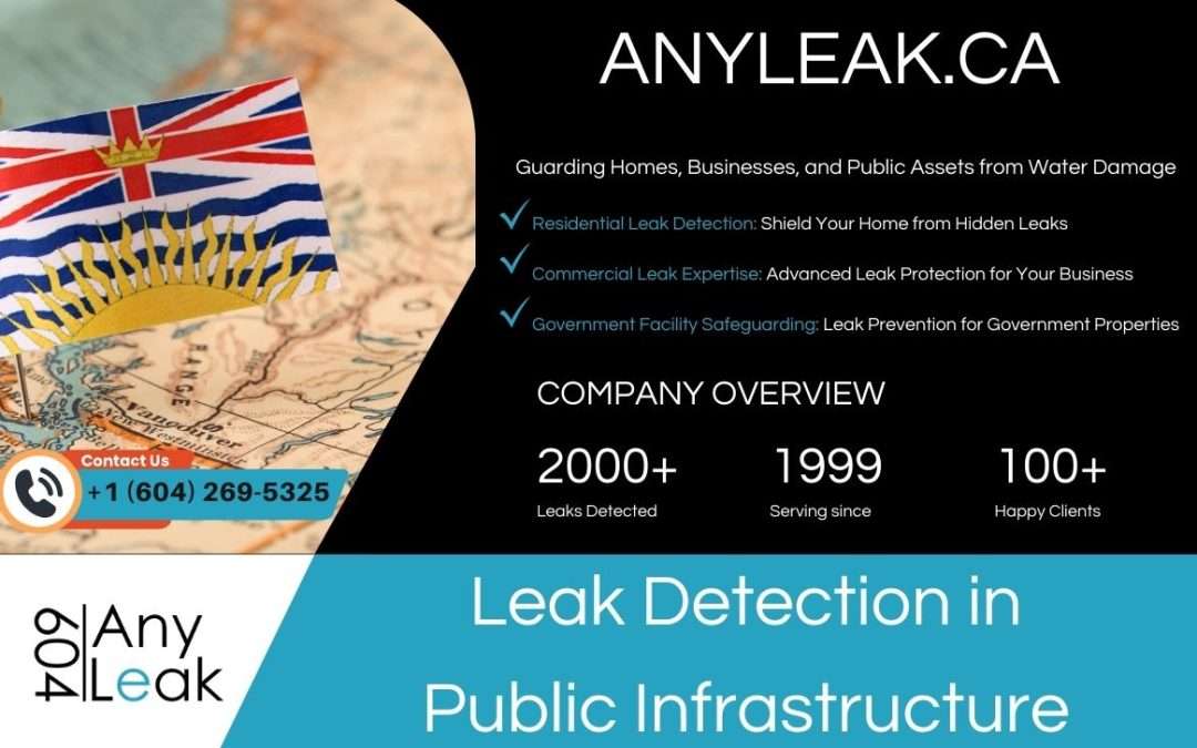 Leak Detection in Public Infrastructure