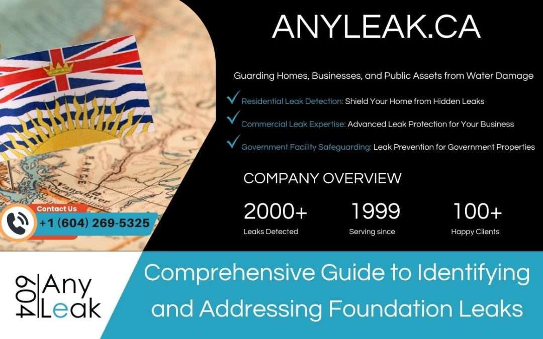 Comprehensive Guide to Identifying and Addressing Foundation Leaks