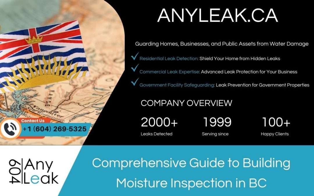 Comprehensive Guide to Building Moisture Inspection in BC