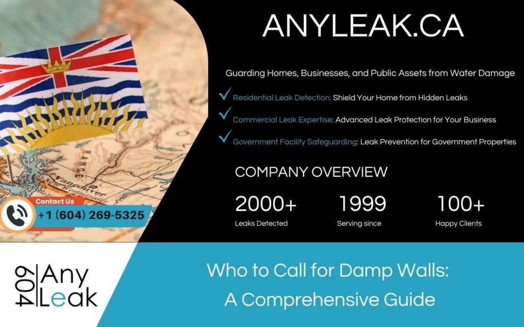Who to Call for Damp Walls: A Comprehensive Guide