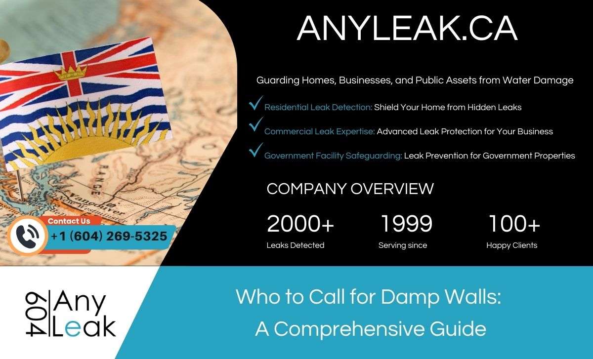 Who to Call for Damp Walls: A Comprehensive Guide
