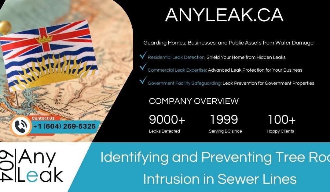 Identifying and Preventing Tree Root Intrusion in Sewer Lines