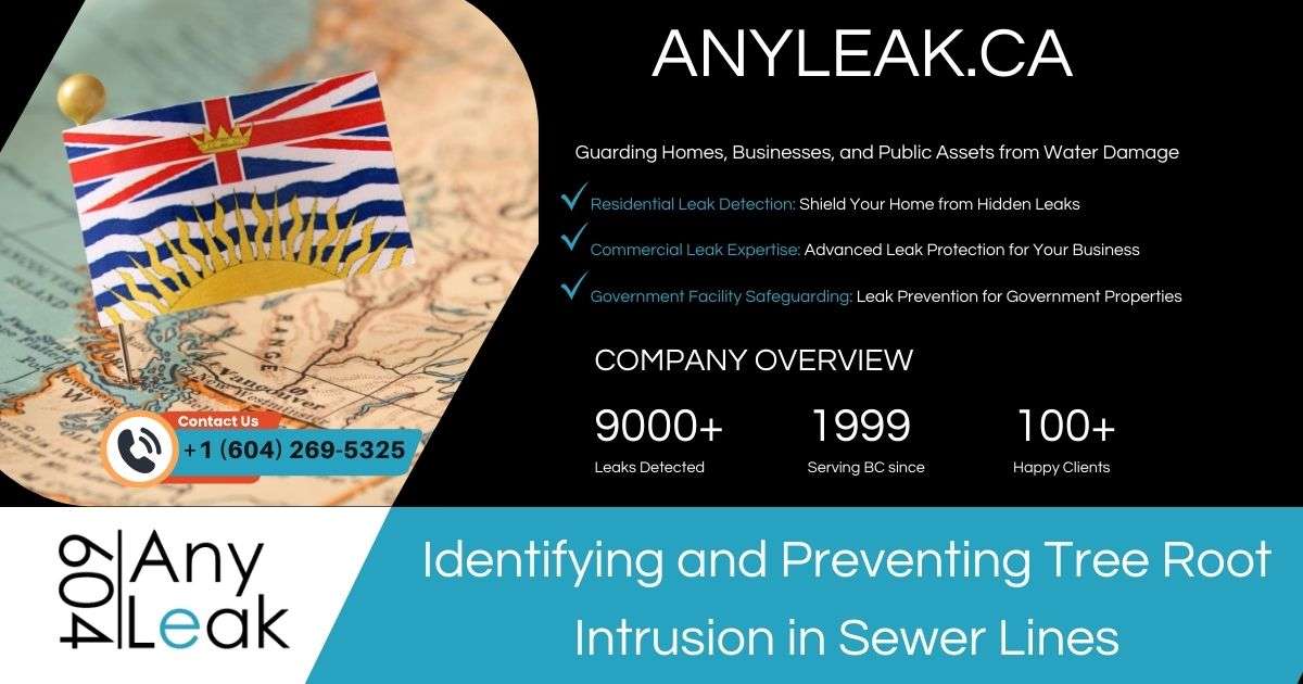 Identifying and Preventing Tree Root Intrusion in Sewer Lines