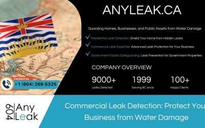 Commercial Leak Detection: Protect Your Business from Water Damage