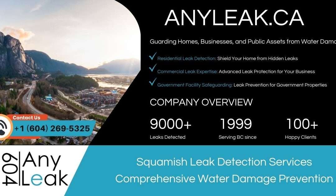 Squamish Leak Detection Services