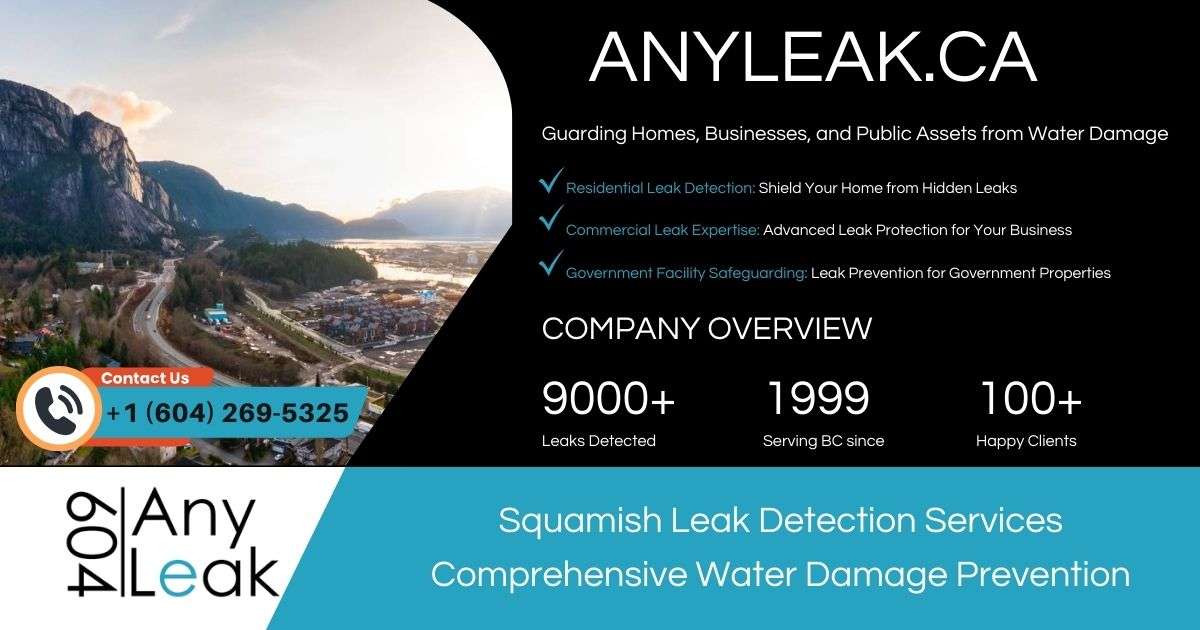 Squamish Leak Detection Services 1 Squamish Leak Detection Services