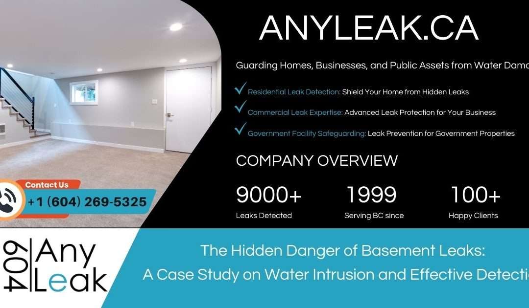 The Hidden Danger of Basement Leaks
